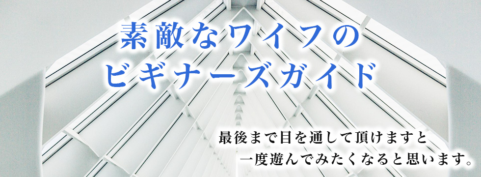 素敵なワイフのビギナーズガイド