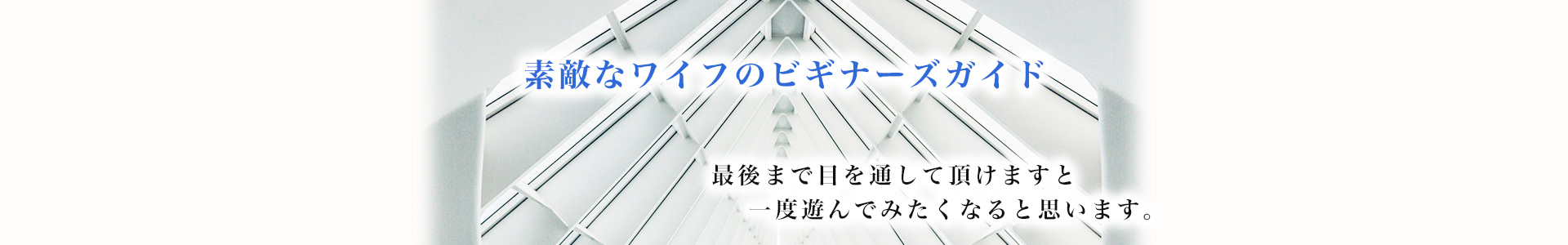 素敵なワイフのビギナーズガイド